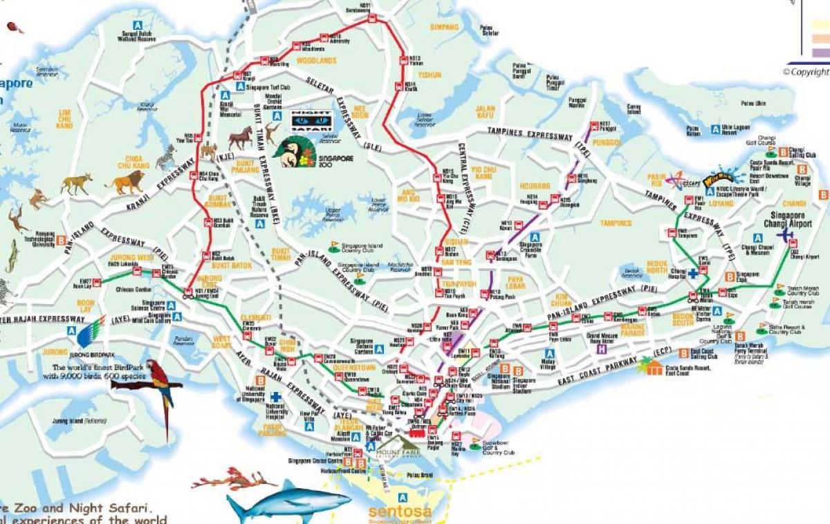 wegenkaart van Singapore