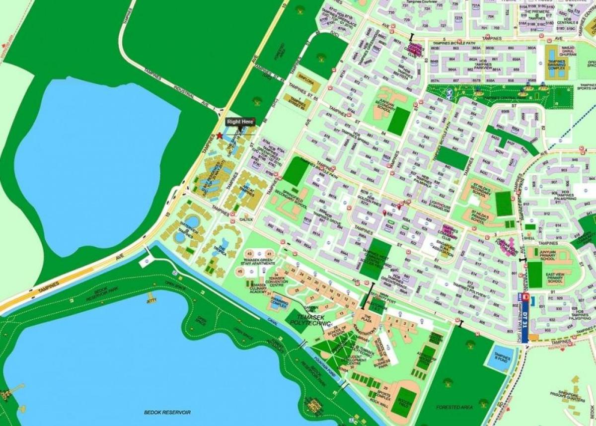 kaart van tampines Singapore